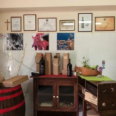 Appartamento Casina Cerreto *